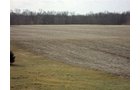 Property photo 2 - 66 Acres Offered in 3 Tracts